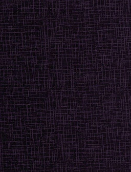 BetulaF Eggplant #12