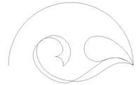 Clam Shell - FLOURISH