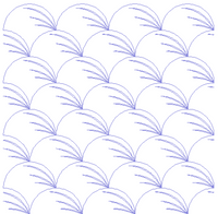 Clam Shell - ALOE