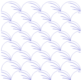 Clam Shell - ALOE